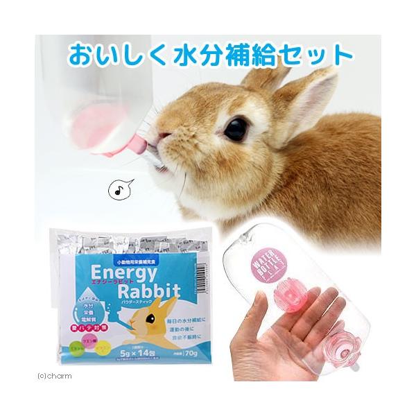 horei_usagi_sapri　k_yennot　MS34　_animal　usagi　seiki　tiramoru　うさぎ　小動物　補助食品　エナジーラビット　１４本入り　粉末　飲料　補給　うっ滞　食滞　対策　水分補給　脱水予防　en...
