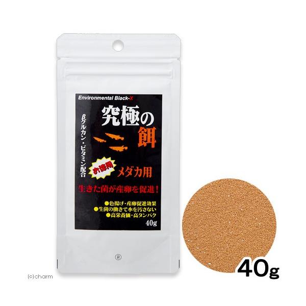 a|@ɂ̉a@_Jp@SO@_J̉a@