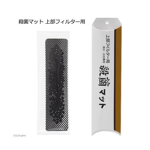 ANAH[@Eۃ}bg@㕔tB^[p@Ef@\h@WECp