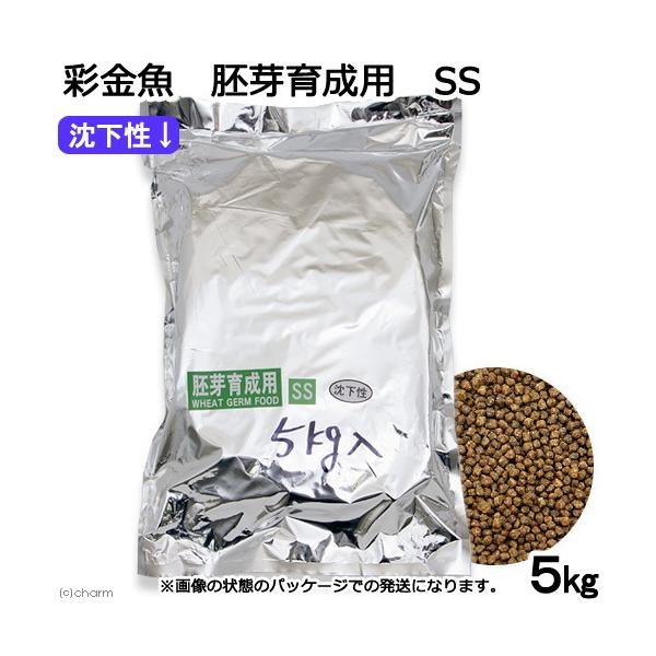 ʋ@琬p@rr@@T@̂@̉a