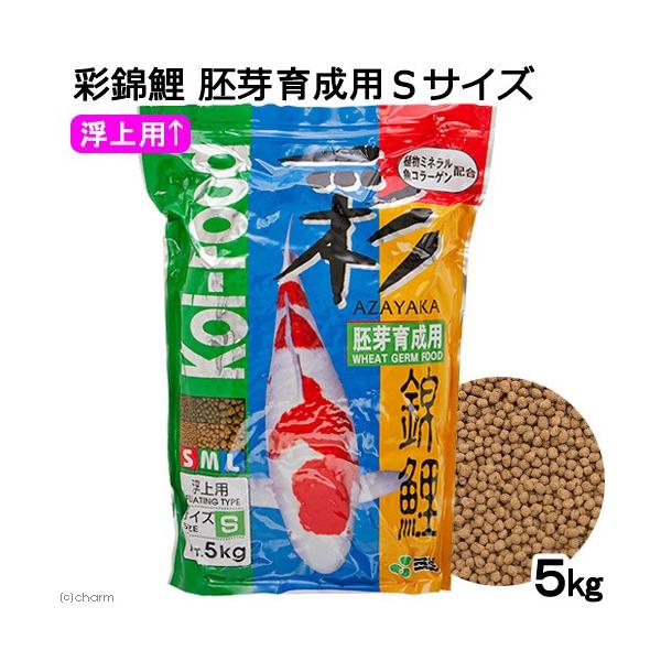 ̉a@ʋь@琬p@rTCY@T@a@