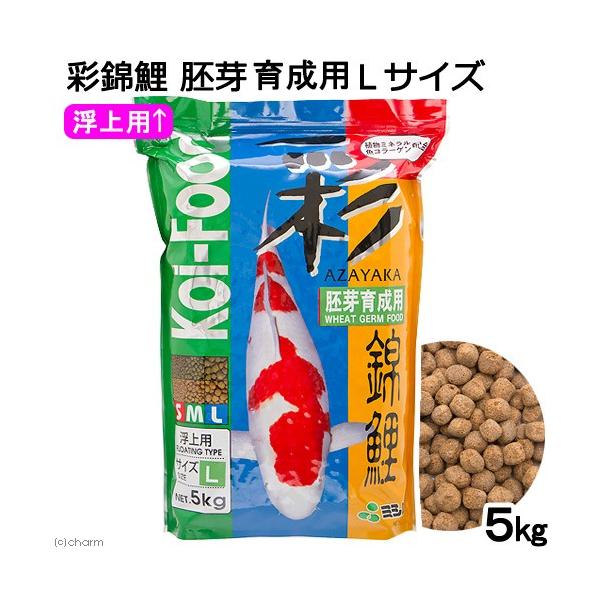 ̉a@ʋь@琬p@kTCY@T@a@