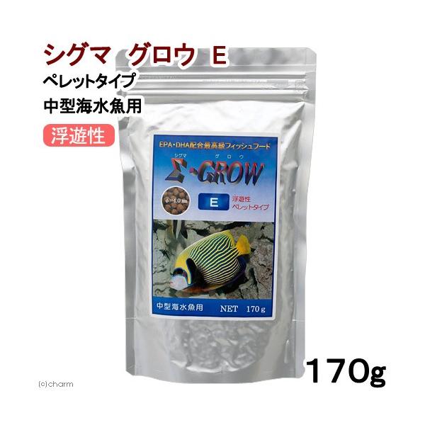 VO}@OE@diVAybg^Cvj@PVO@^C@C@a@t[h@nD