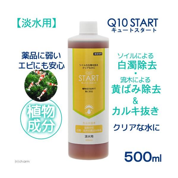 EGrɗDJL@pPOX^[g@Wp@TOOk@AR@