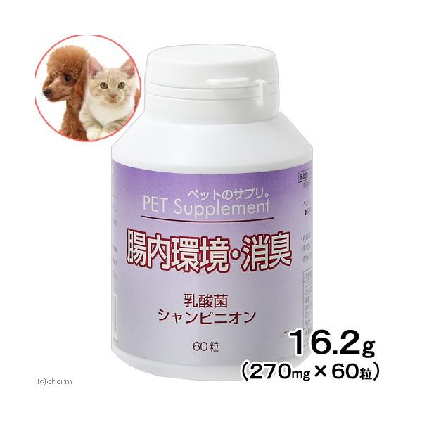 @L@Tv@oCI@ybg̃Tv@EL@UO