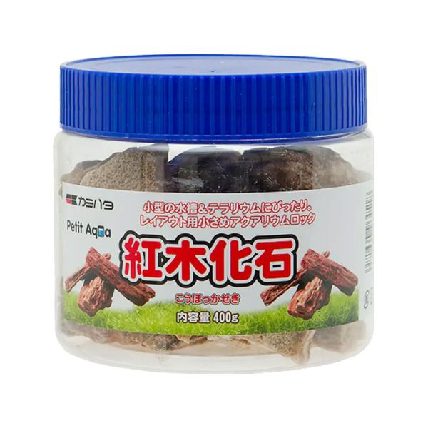 J~n^@v`ANA̐΁@g؉΁@SOO@^@CAEg