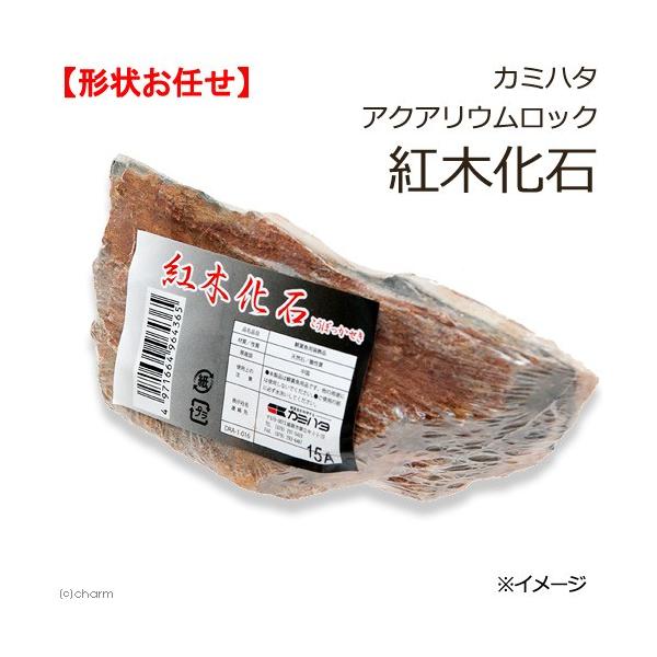 J~n^@ANAEbN@g؉΁@`󂨔C