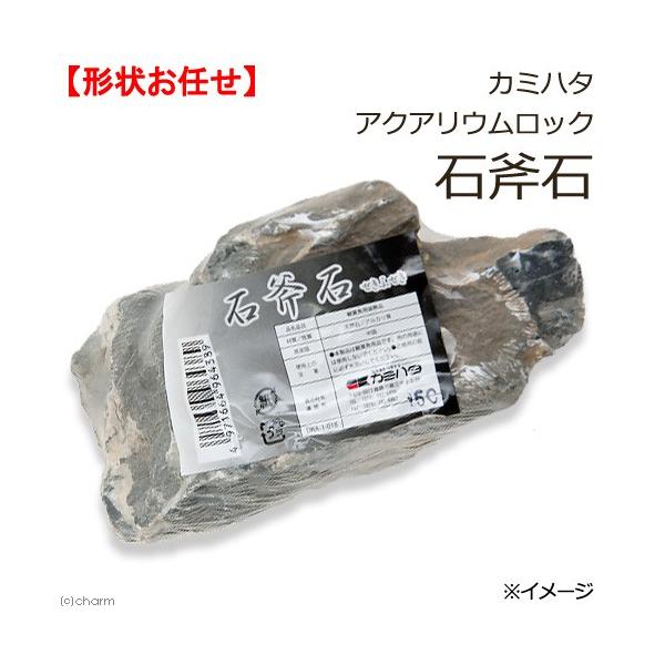 J~n^@ANAEbN@Ε΁@`󂨔C