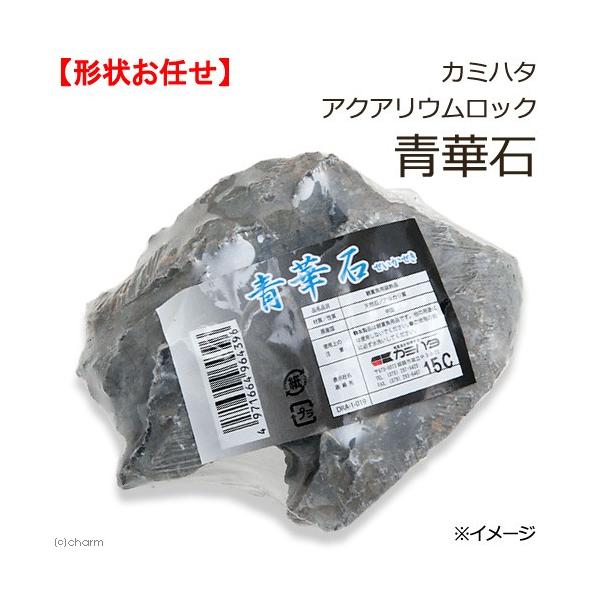 J~n^@ANAEbN@ؐ΁@`󂨔C