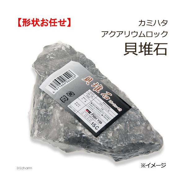 J~n^@ANAEbN@L͐΁@`󂨔C