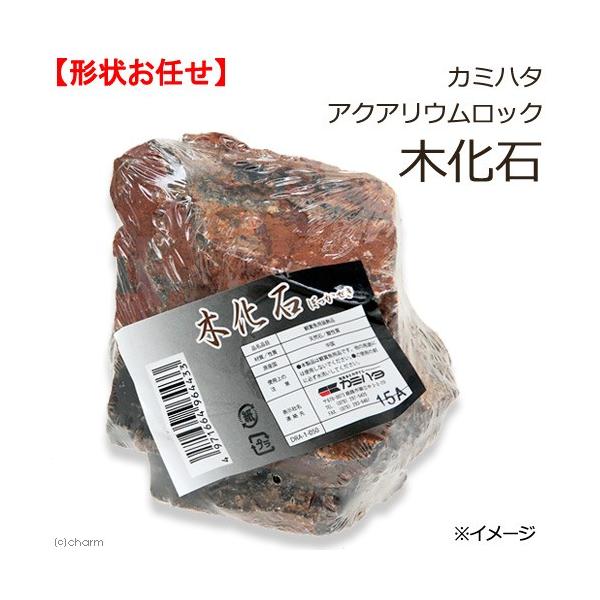 J~n^@ANAEbN@؉΁@`󂨔C