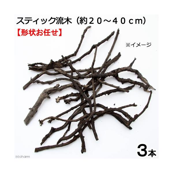 流木 セット 水槽用レイアウト用品の人気商品 通販 価格比較 価格 Com