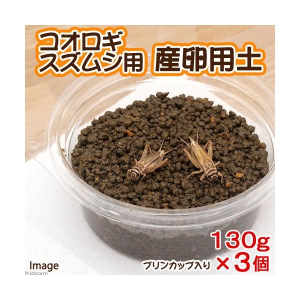 RIMEXYVp@Ypy@RZbg@RIM@钎@ɐB@Y