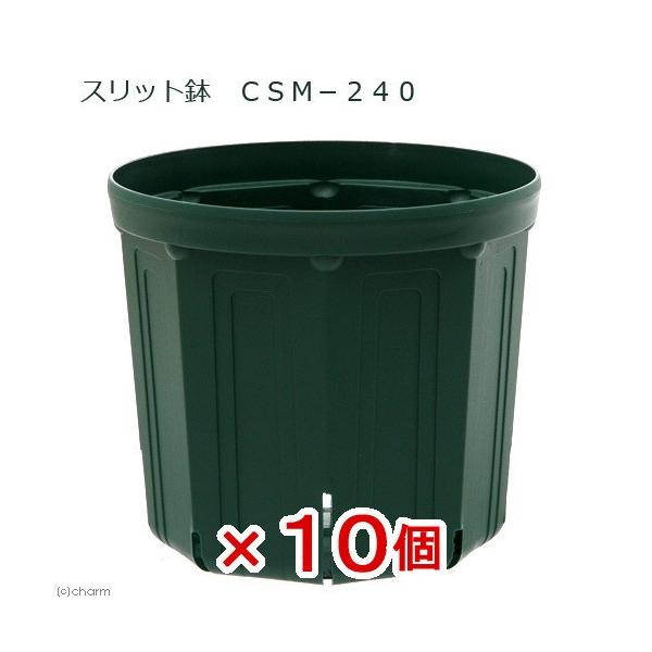 スリット鉢　植木鉢　鉢　ガーデニング用品　_gardening　ＣＳＭ‐２４０　ガーデニング　プランター　８号　直径・幅２４ｃｍ〜　園芸用品　鉢・皿・八カバー・ポット　鉢・プランター・ボール　根張り　果樹　野菜　観賞用　観葉植物　サークリン...