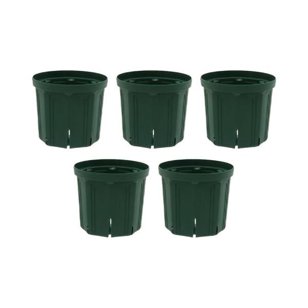 �X���b�g���@�b�r�l�|�P�W�O�@���X�O���[���@�T�Z�b�g�@����l�l�S�_����@�K�[�f�j���O�@��