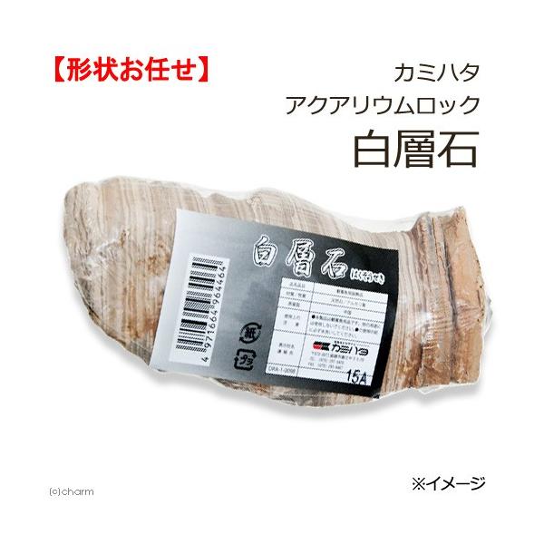 J~n^@ANAEbN@w΁@`󂨔C