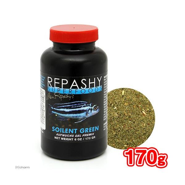 pV[@X[p[t[h@\CgO[@U@PVO@@MыplH@Qt[h