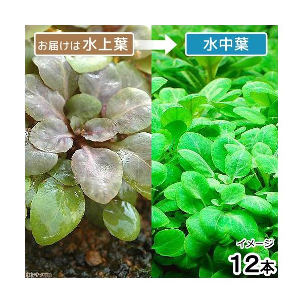 ijxAJ[fBiXitji_jiPQ{j