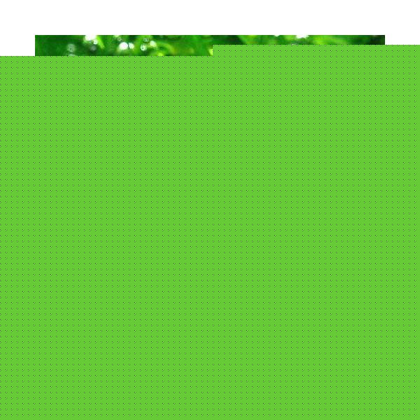 ijO[gXiGQA@iXjitji_jiPO{jLs@i@Y