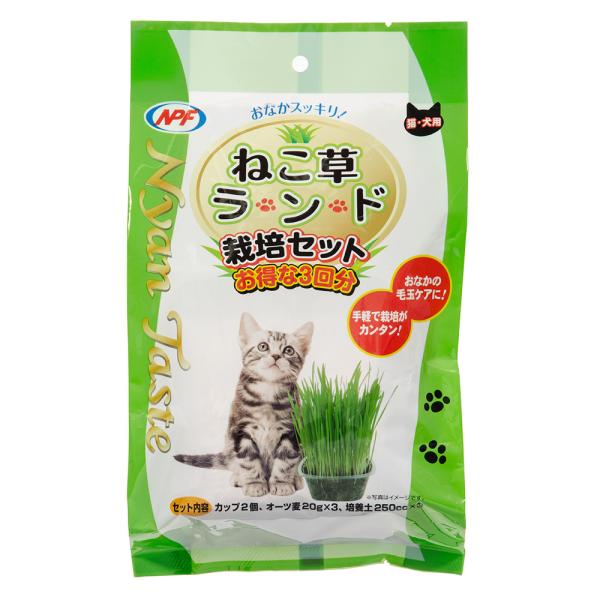 ＮＰＦ　ＮｙａｎＴａｓｔｅ　ねこ草ランド　栽培セット　３回分
