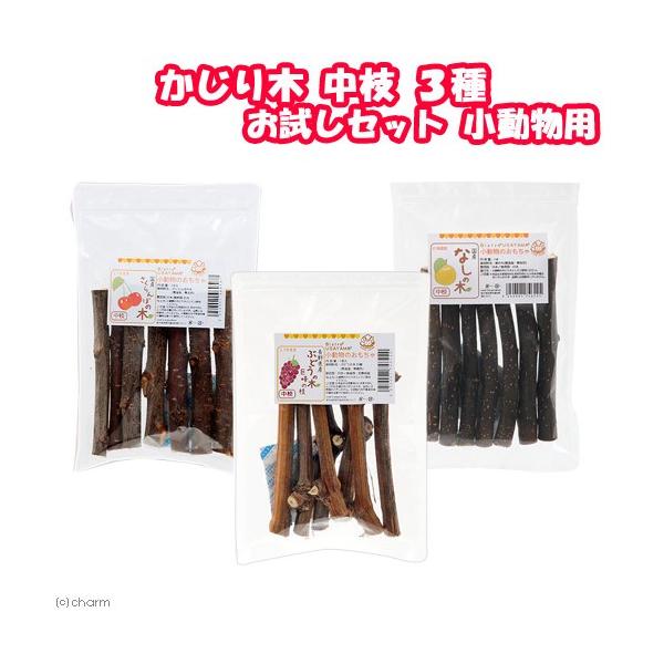 ؁@}R@Zbg@p̂@Y@F@@nX^[@``@@@VR@XgX