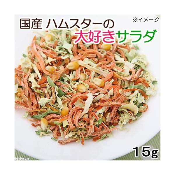 nX^[@@Y@nX^[̑DT_@PT@̂@nX^[@@Y@F