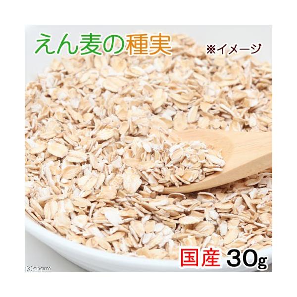 Y@񔞂̎@RO@̃r[eB[V[Y@@Y@F