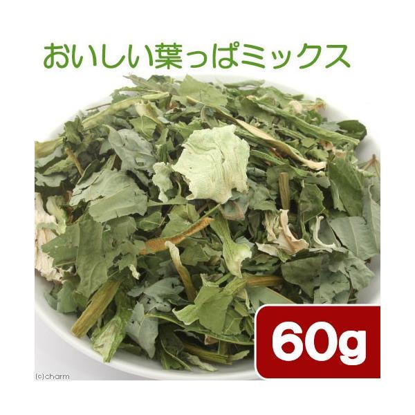 メーカー：(株)リーフ Leaf Corp リーフコーポレーション　リーフコーポ　リーフ　ＬＥＡＦ　Corp　Corporation　usymlist　小動物　鳥　ハムスター　うさぎ　チンチラ　モルモット　デグー　リス　フード　えさ　おやつ...