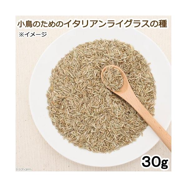 ̂߂̃C^ACOX̎@RO@@nX^[