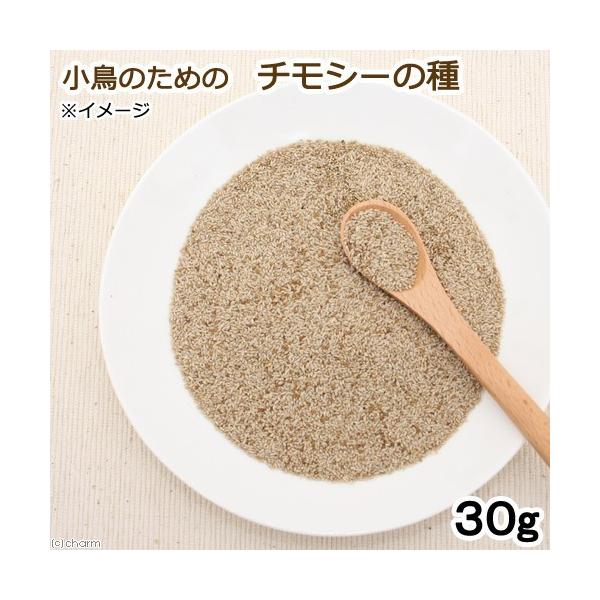 ̂߂̃`V[̎@RO@@nX^[