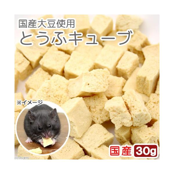 ܂ނƂӎgp@Y哤@ƂӃL[u@RO@hC@Y@F@nX^[@X