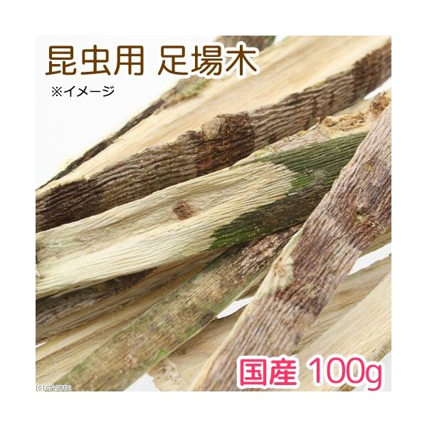 ؁@POO@ipj@]|h~@ppC̊