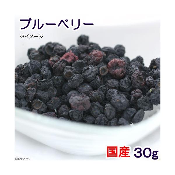 Y@u[x[@RO@p̂@hCt[c@Y@F