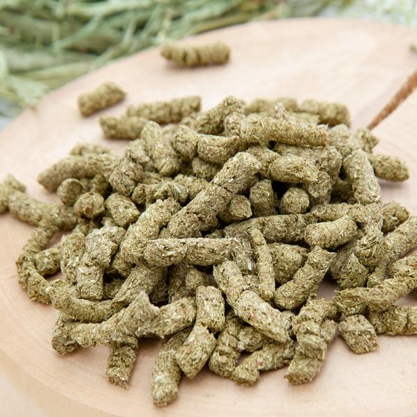 gȂ̂ł܂@QTO@p̂@@Y@F@Oet[