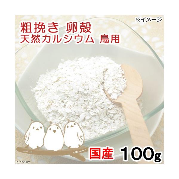 Y@k@e҂@POO@VRJVE@Y@F