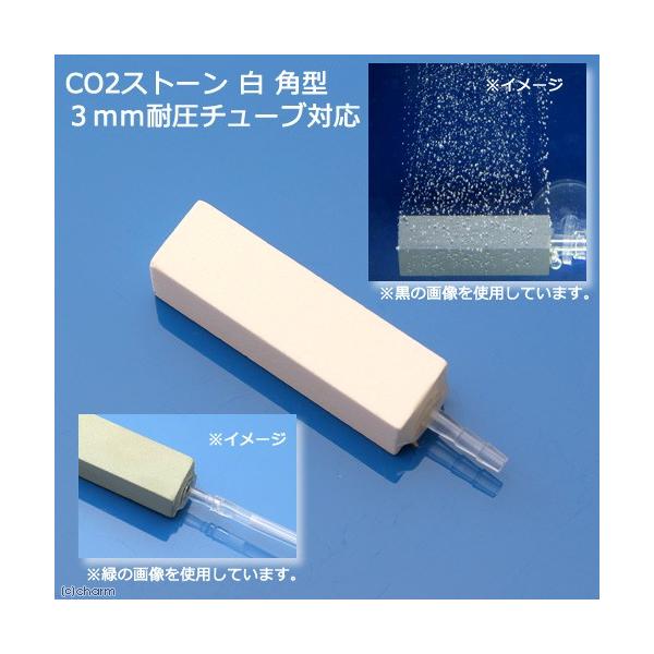 bnQgU@bnQXg[@@p^@Rψ`[uΉ