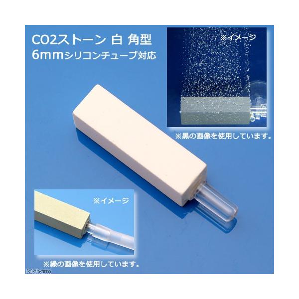 bnQgU@bnQXg[@@p^@UVR`[uΉ