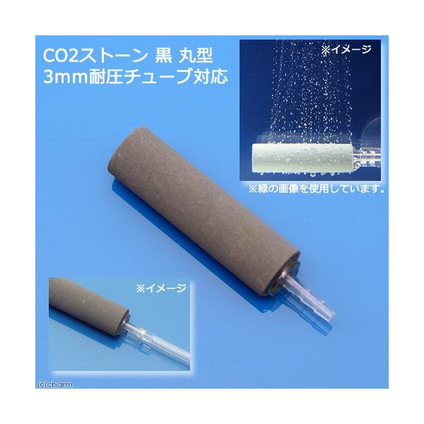 bnQgU@RPڗɂbnQXg[@@ی^@Rψ`[uΉ