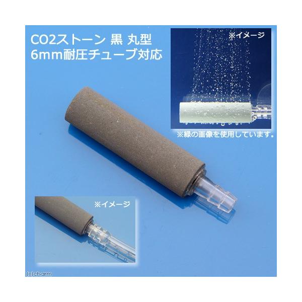 bnQgU@RPڗɂbnQXg[@@ی^@Uψ`[uΉ