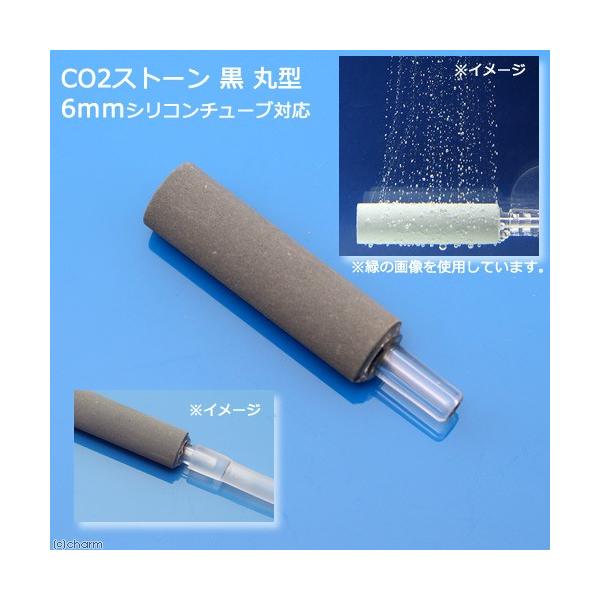 bnQgU@RPڗɂbnQXg[@@ی^@UVR`[uΉ