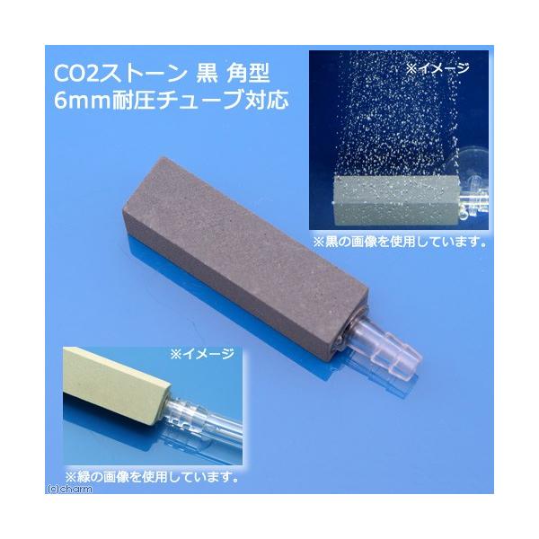 bnQgU@RPڗɂbnQXg[@@p^@Uψ`[uΉ