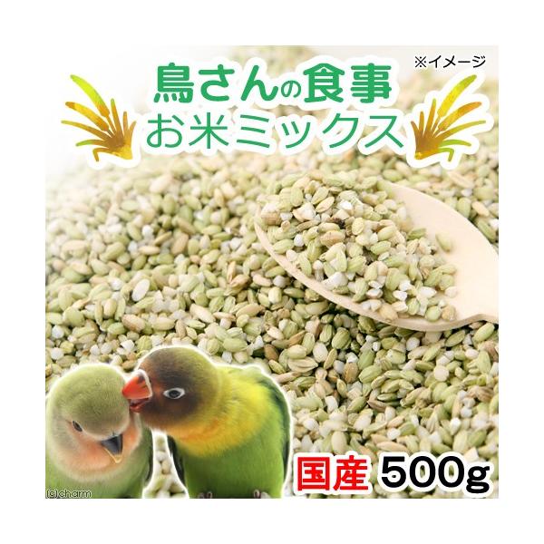 ̐H@Y@ă~bNX@TOO@@Y@F