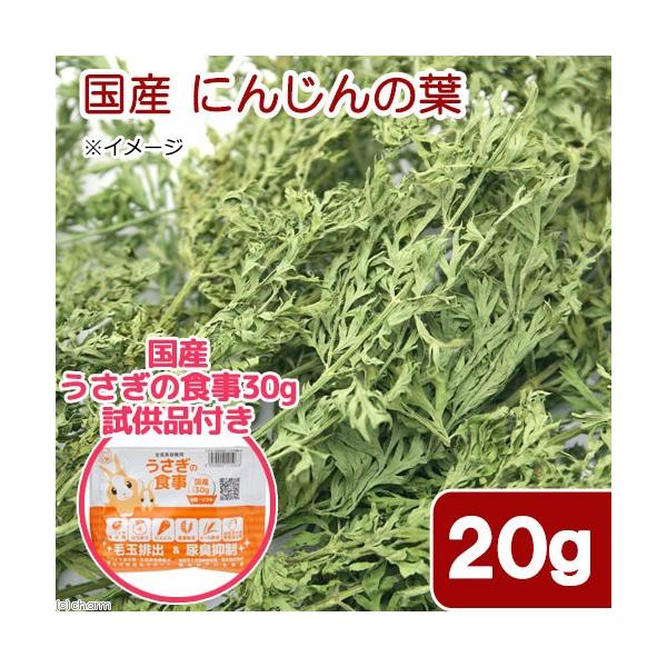 メーカー：(株)リーフ Leaf Corp oytdry_anml　nin_animal　10u10p　小動物　小動物全般　フード　おやつ　１０ｇ　ドライリーフ　うさぎ　乾燥　葉　人参の葉　野菜　20161108　MI　餌　にんじんの葉　国...