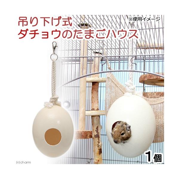 ݂艺_`Ê܂nEX@P@̂@󏭁@nX^[@fO[