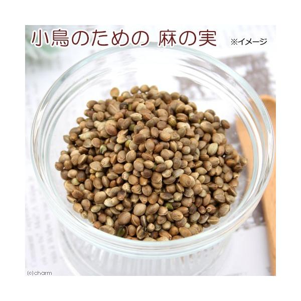 Leaf Corp 小鳥のための麻の実 30g 鳥 フード 餌 おやつ 無添加 無