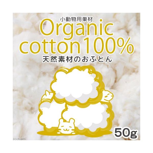 VRfނ̂ӂƂ@I[KjbNRbgPOO@p@TO@nX^[@