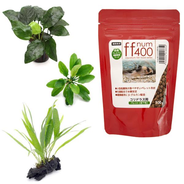 ij@SOORhXpybgijPOO{RhXpZbgRiPpbNjZbg@{Bl