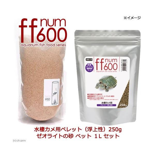 UOOJpybgi㐫jQTO{[ICg̍xbgPkZbg