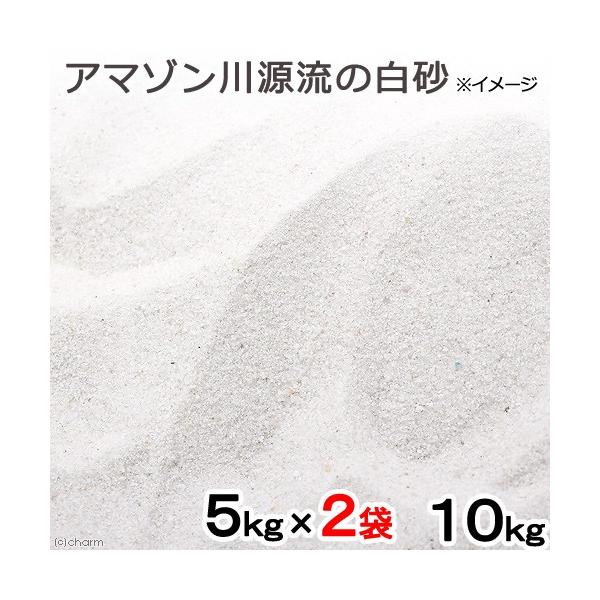 アマゾン川源流の白砂　１０ｋｇ（５ｋｇ×２袋）　（約６Ｌ）　微粒　底砂　底床　コリドラス　エイ　お一人様２点限り