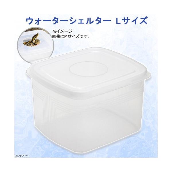 EH[^[VF^[@kTCY@঒ށ@wr@ց@@VF^[@llW_